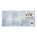 Wyrmspan: Academia de Dragones