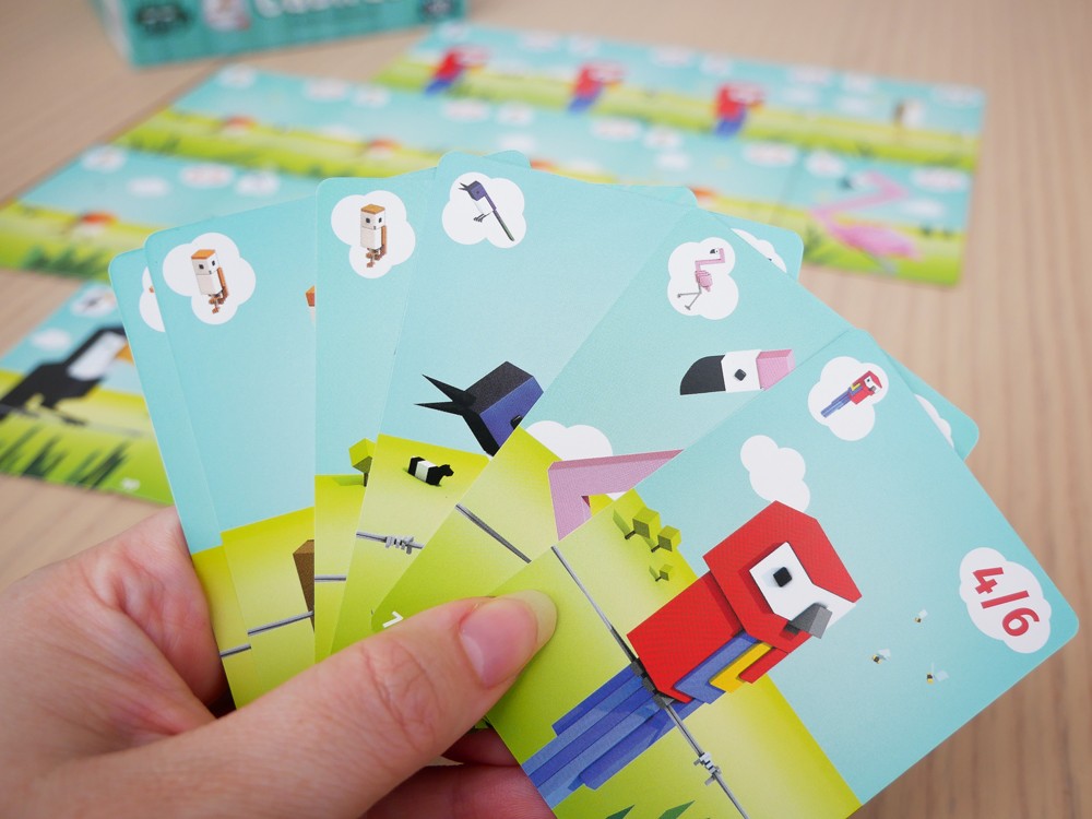 Cubirds