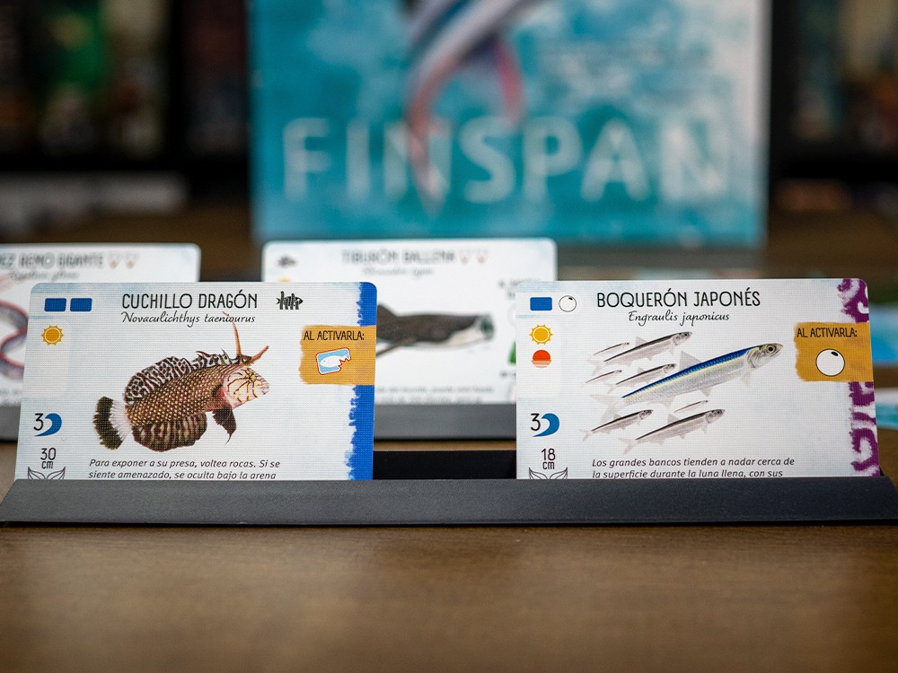 Finspan