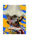 Figuras - Freeny's Hidden Dissectibles: One Piece Serie 1